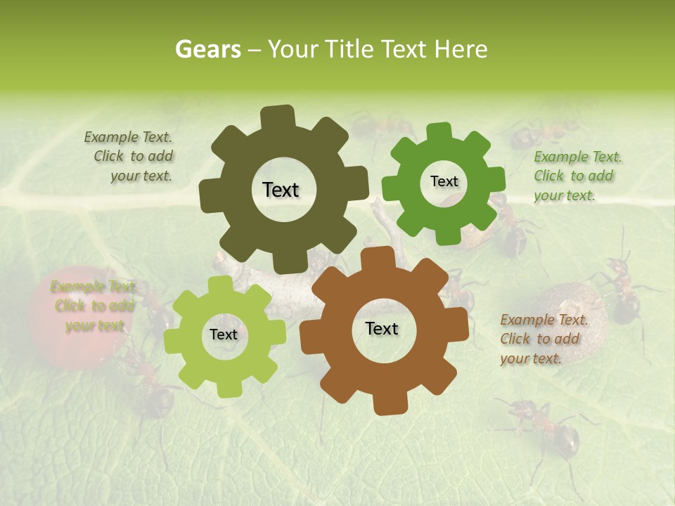 Idea Dividing Path PowerPoint Template