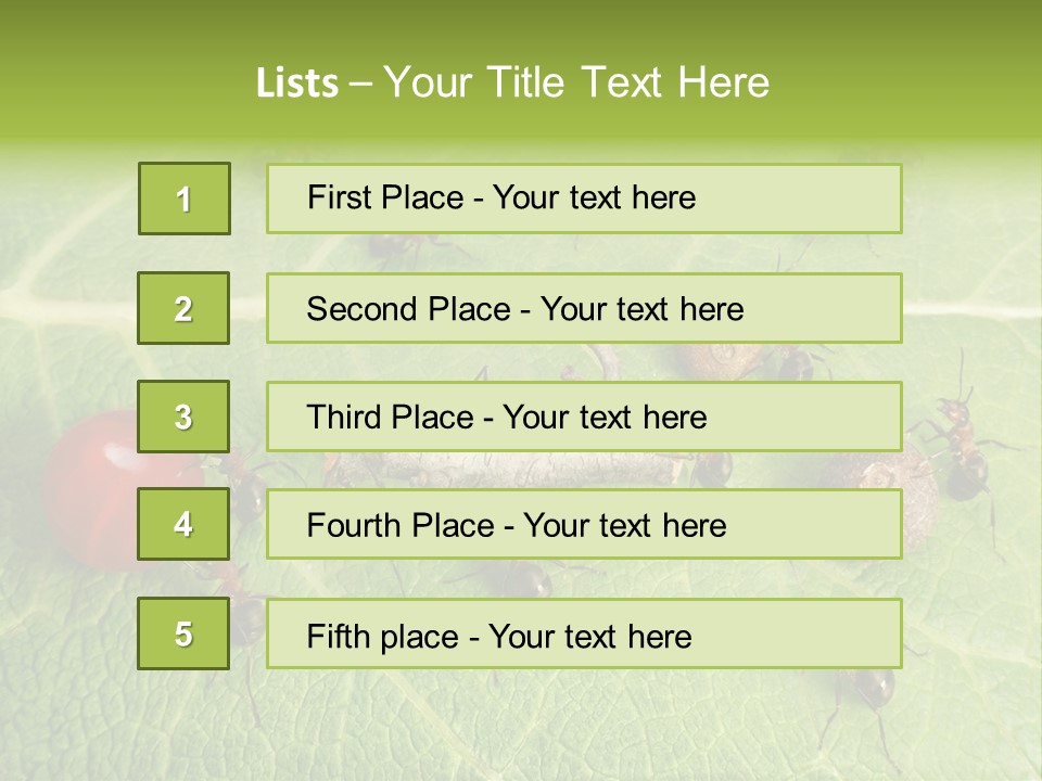 Idea Dividing Path PowerPoint Template