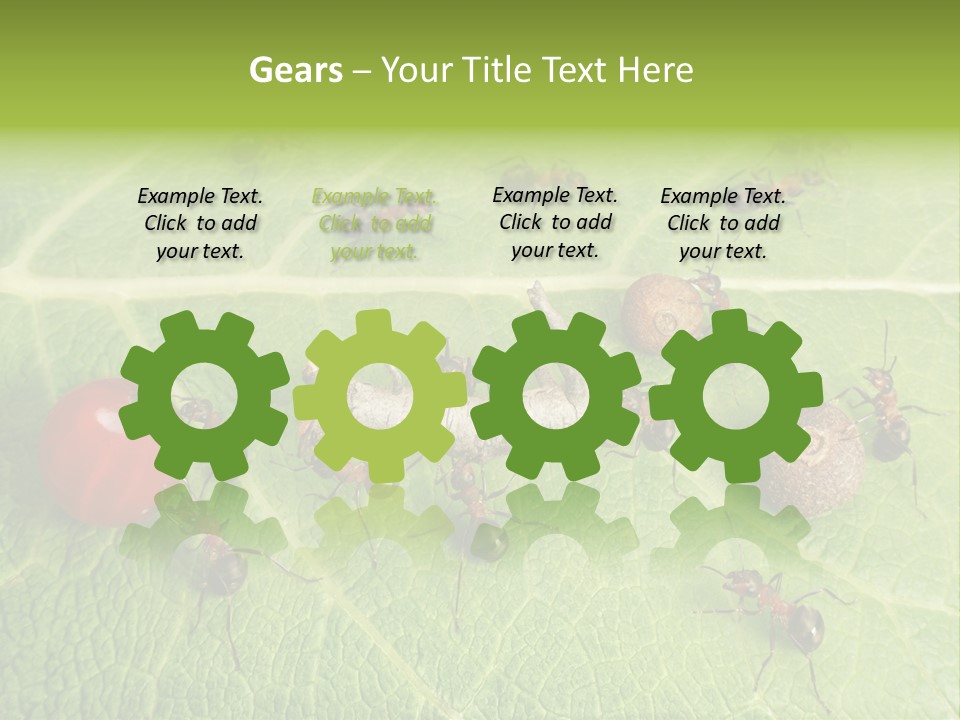 Idea Dividing Path PowerPoint Template