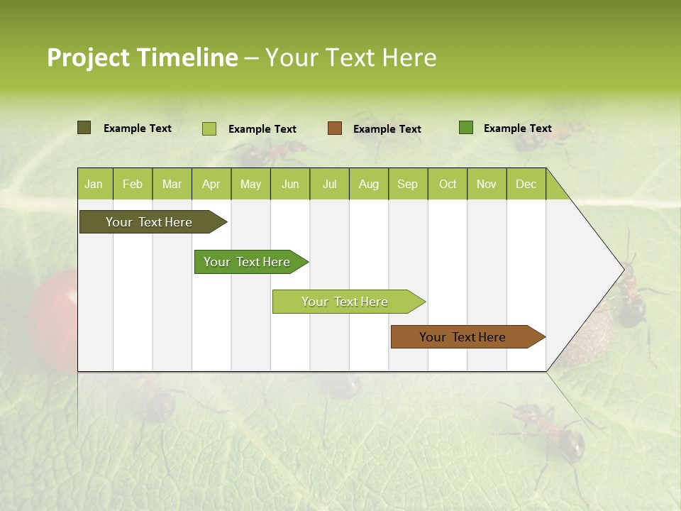 Idea Dividing Path PowerPoint Template