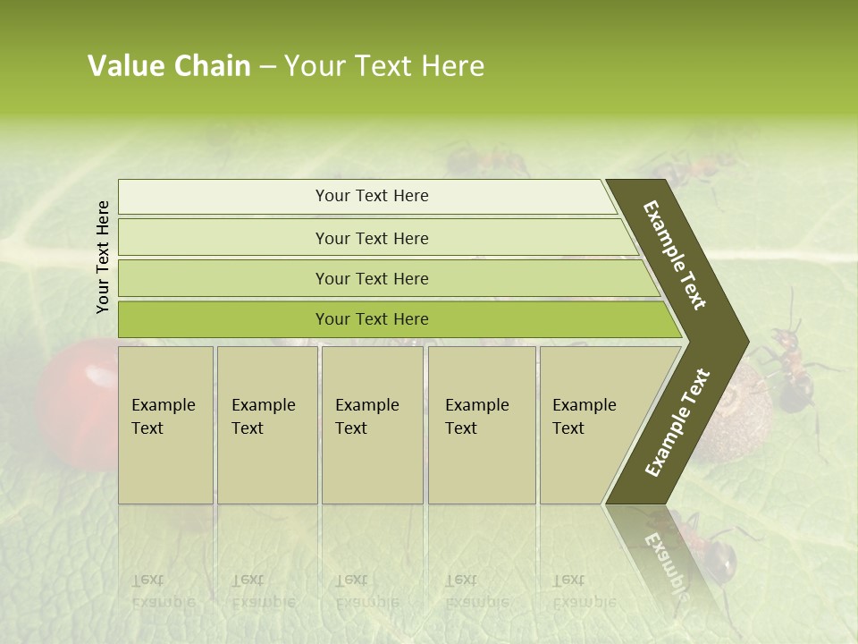 Idea Dividing Path PowerPoint Template