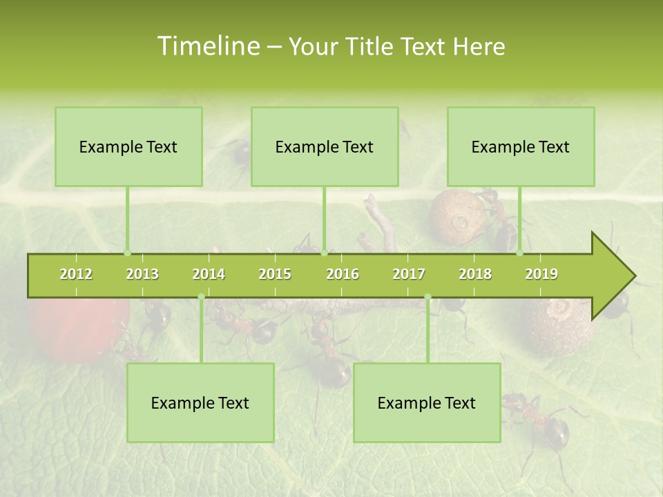 Idea Dividing Path PowerPoint Template