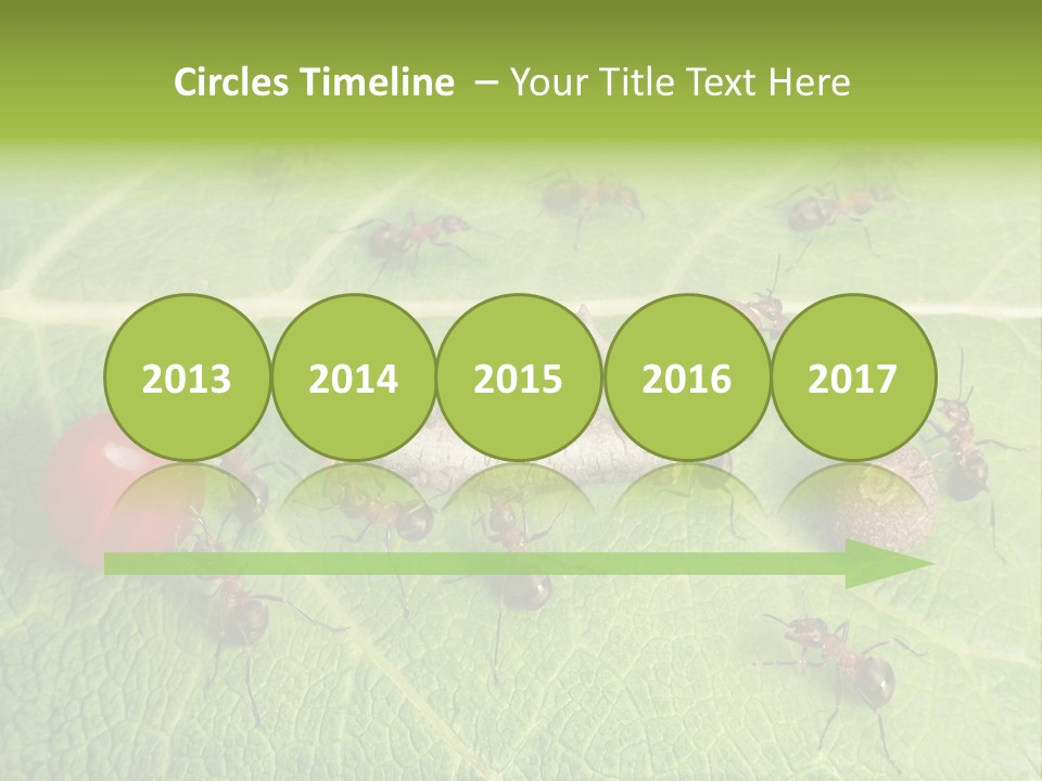 Idea Dividing Path PowerPoint Template
