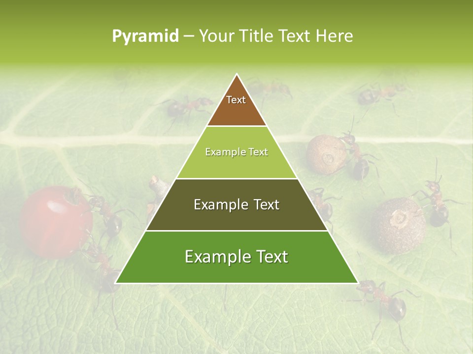 Idea Dividing Path PowerPoint Template