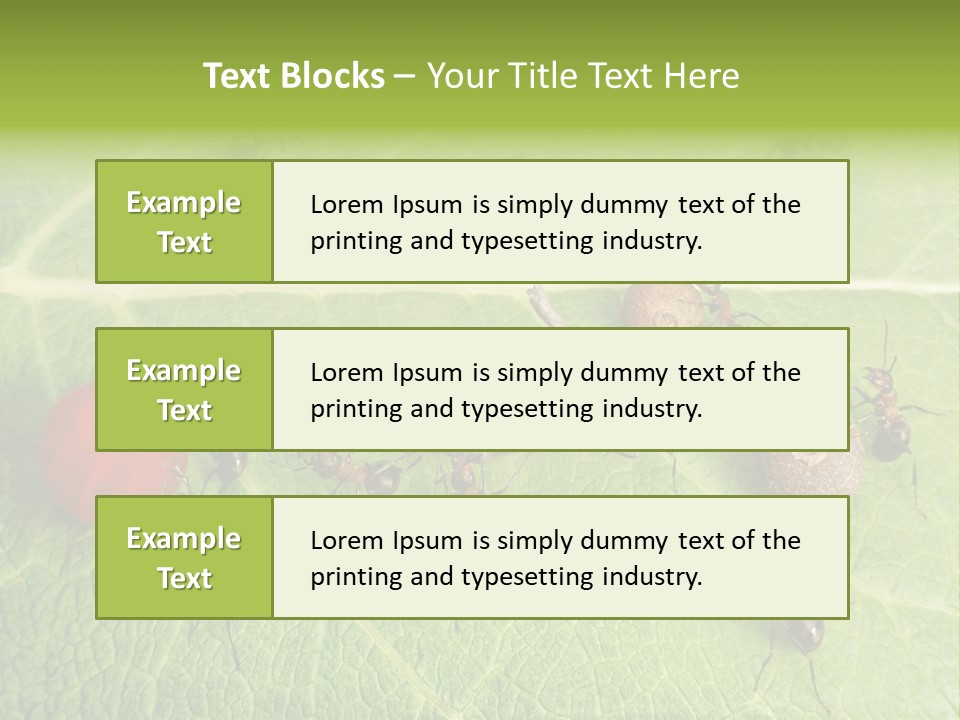 Idea Dividing Path PowerPoint Template