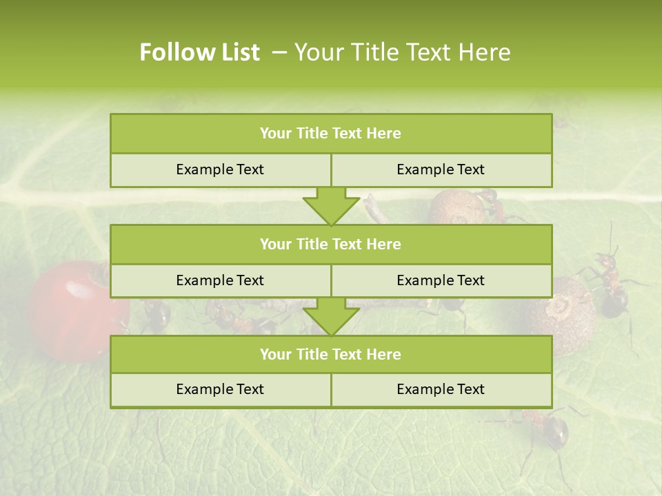 Idea Dividing Path PowerPoint Template