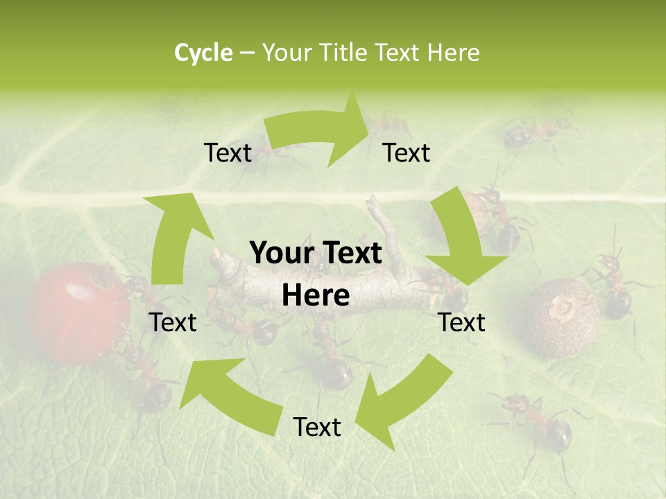 Idea Dividing Path PowerPoint Template