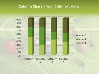 Idea Dividing Path PowerPoint Template