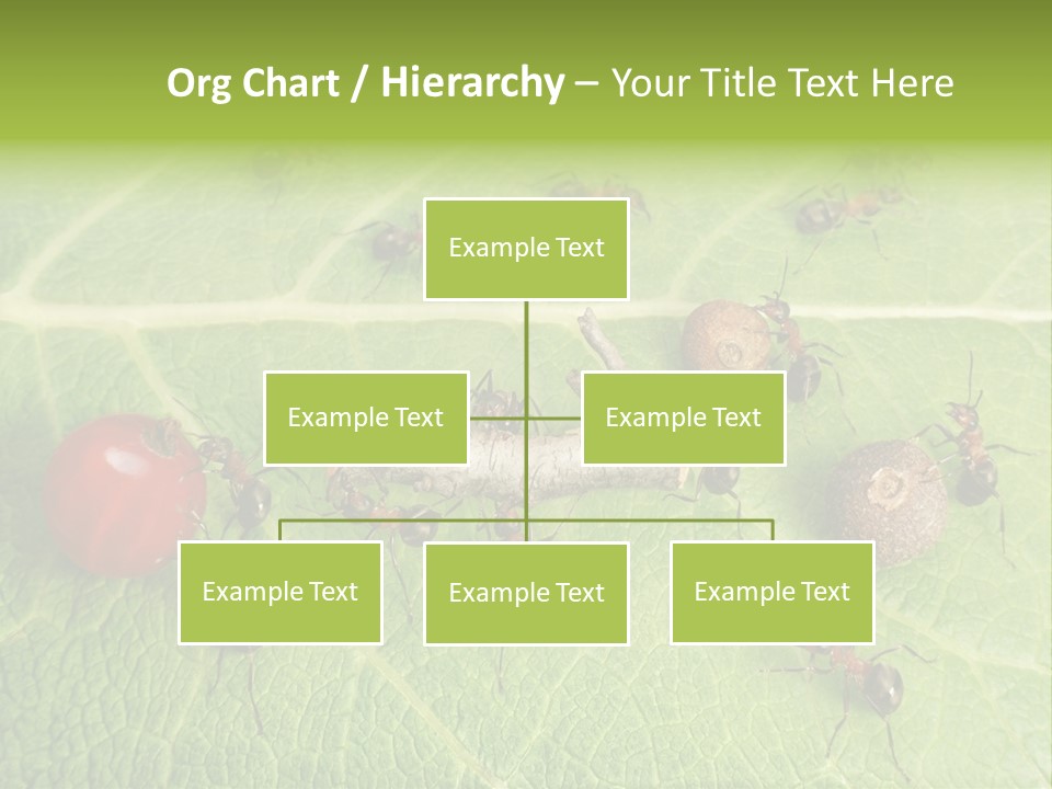 Idea Dividing Path PowerPoint Template
