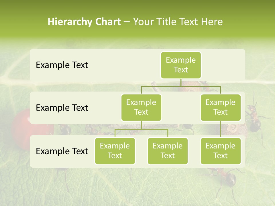 Idea Dividing Path PowerPoint Template
