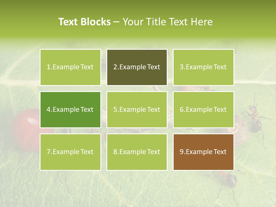 Idea Dividing Path PowerPoint Template