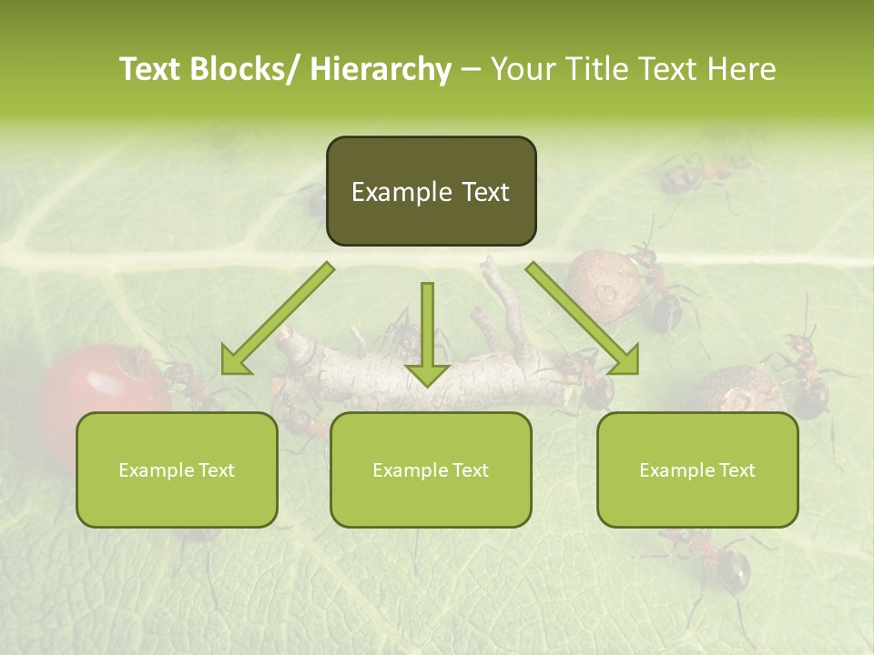 Idea Dividing Path PowerPoint Template