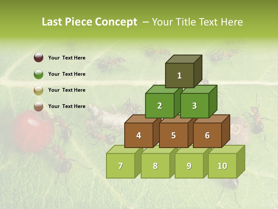 Idea Dividing Path PowerPoint Template