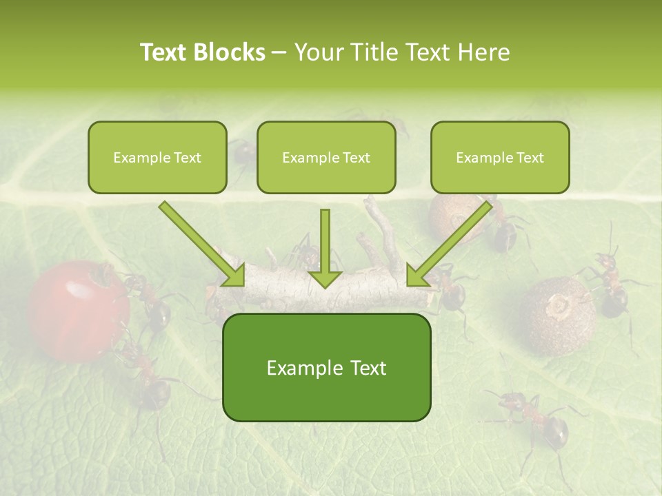 Idea Dividing Path PowerPoint Template