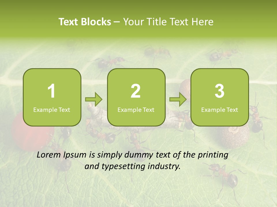 Idea Dividing Path PowerPoint Template