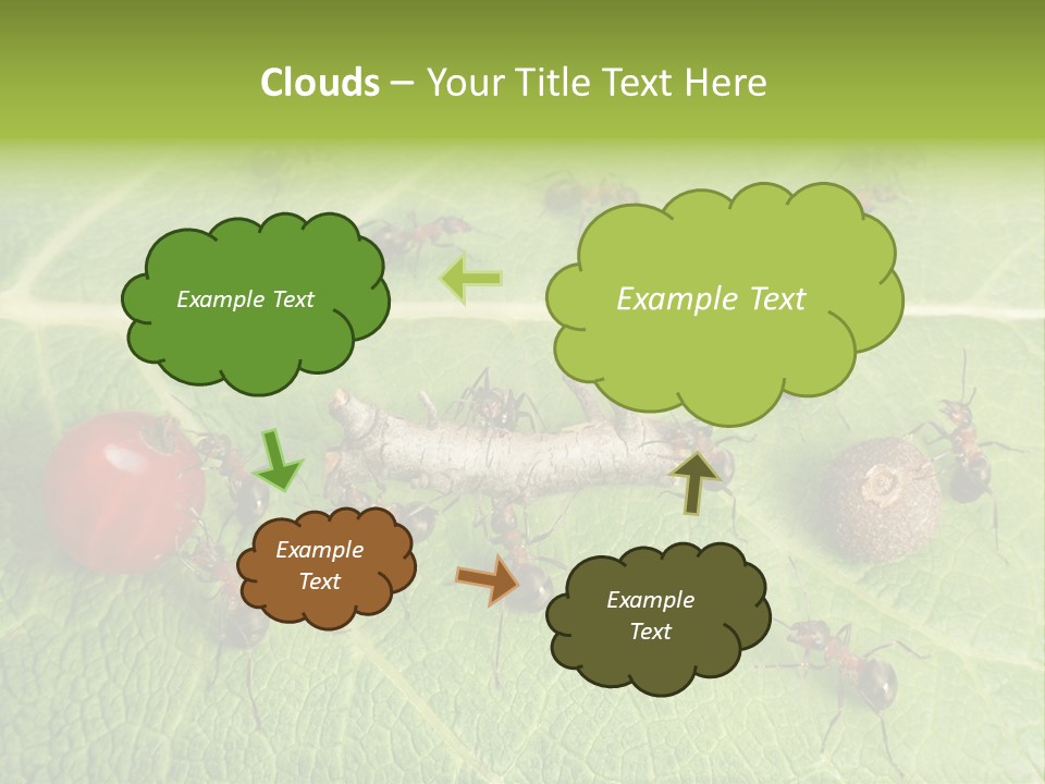 Idea Dividing Path PowerPoint Template