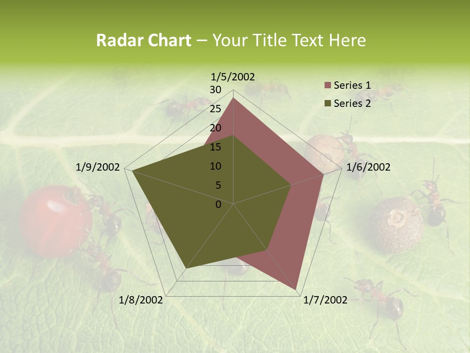 Idea Dividing Path PowerPoint Template