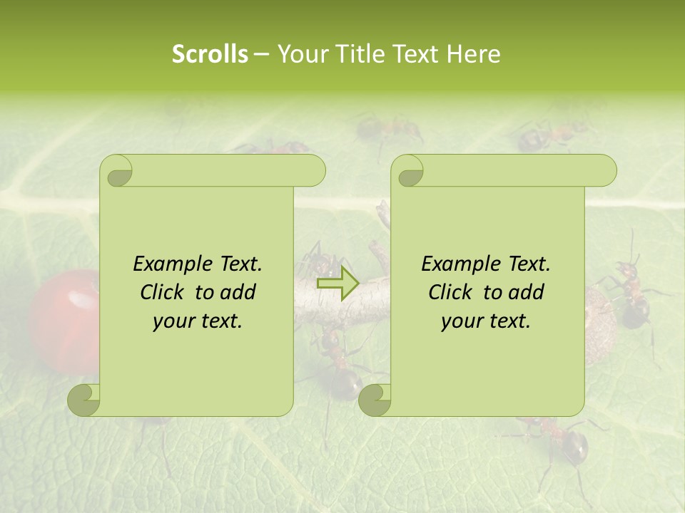 Idea Dividing Path PowerPoint Template