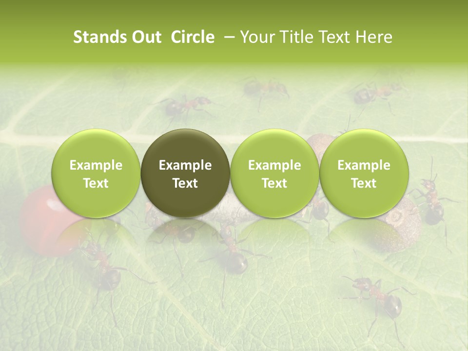 Idea Dividing Path PowerPoint Template