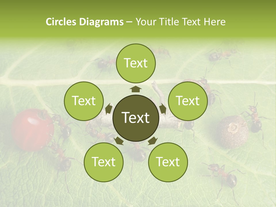 Idea Dividing Path PowerPoint Template