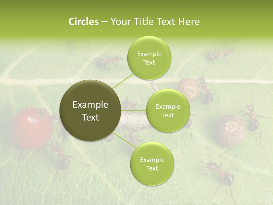 Idea Dividing Path PowerPoint Template