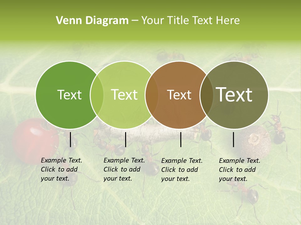Idea Dividing Path PowerPoint Template