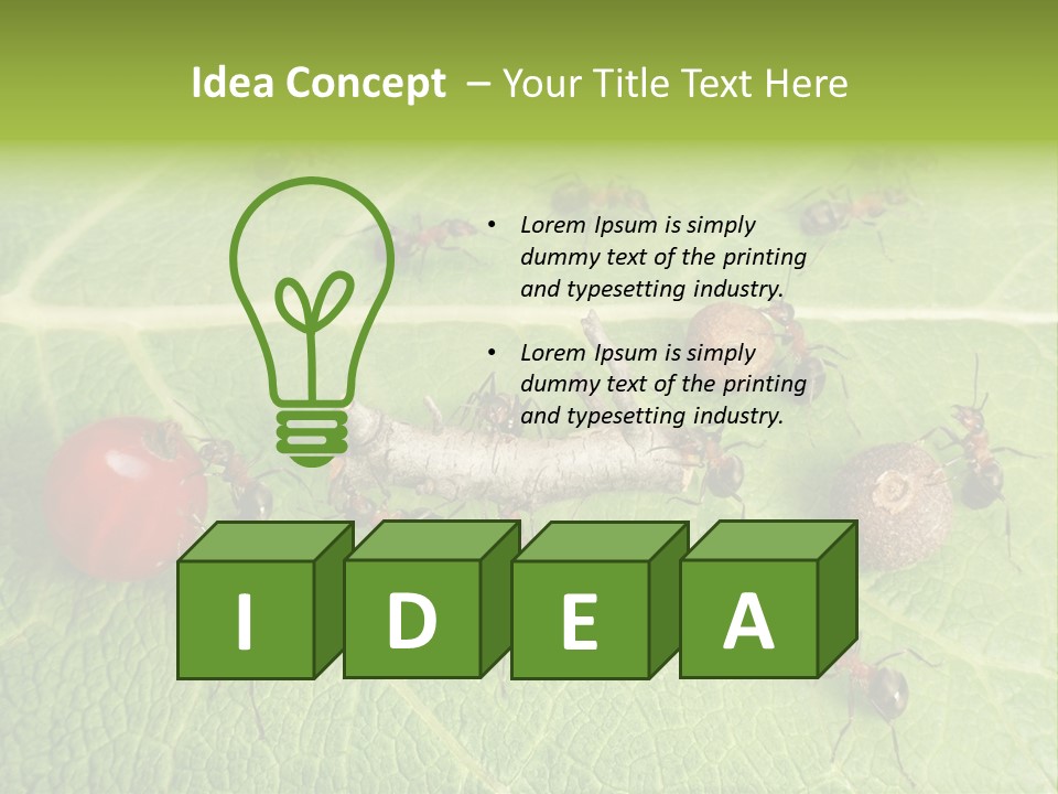 Idea Dividing Path PowerPoint Template