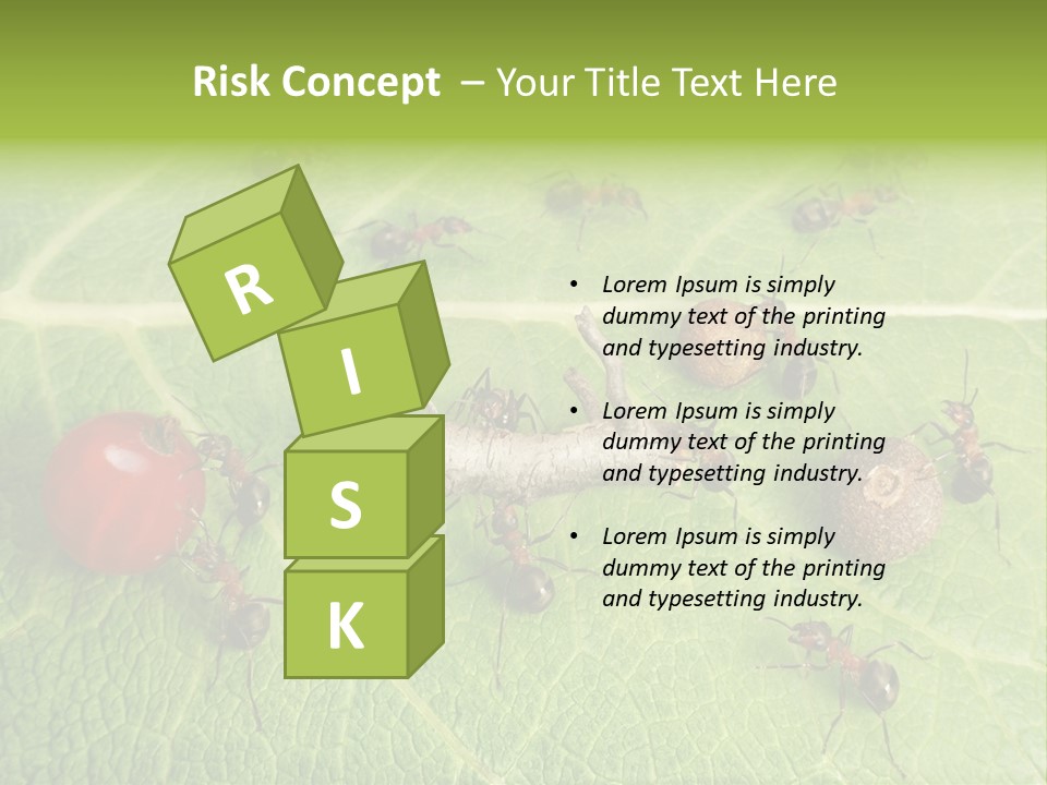 Idea Dividing Path PowerPoint Template