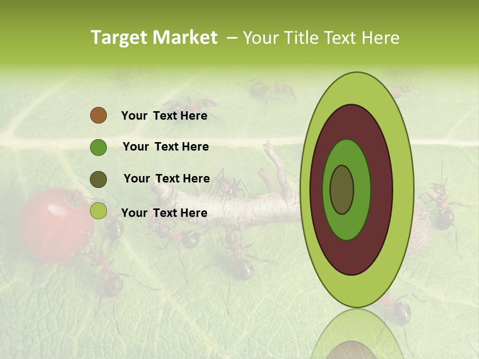 Idea Dividing Path PowerPoint Template