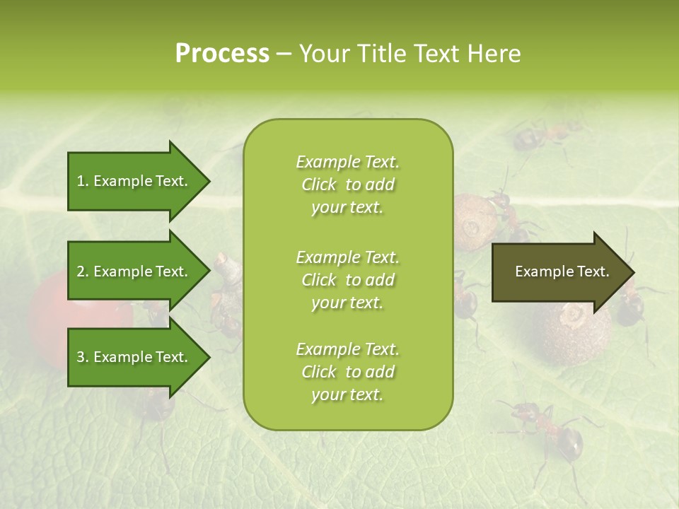 Idea Dividing Path PowerPoint Template