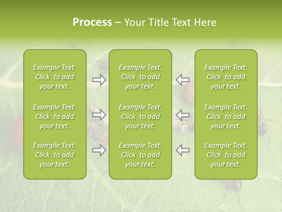 Idea Dividing Path PowerPoint Template