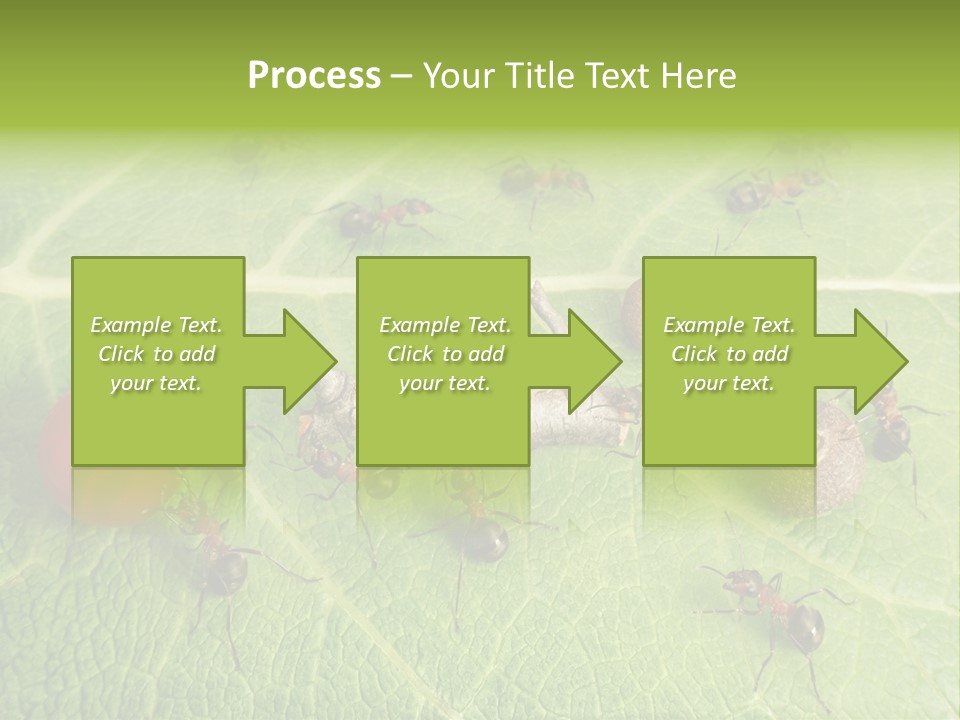 Idea Dividing Path PowerPoint Template