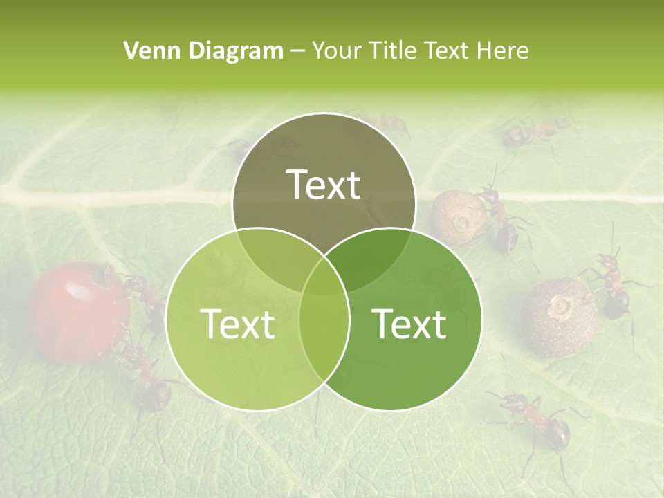 Idea Dividing Path PowerPoint Template