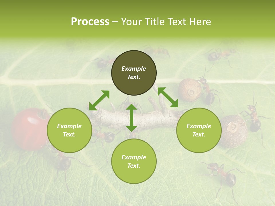 Idea Dividing Path PowerPoint Template