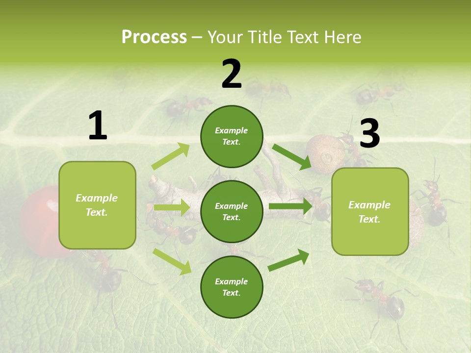Idea Dividing Path PowerPoint Template