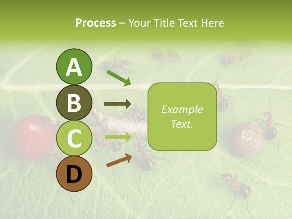 Idea Dividing Path PowerPoint Template