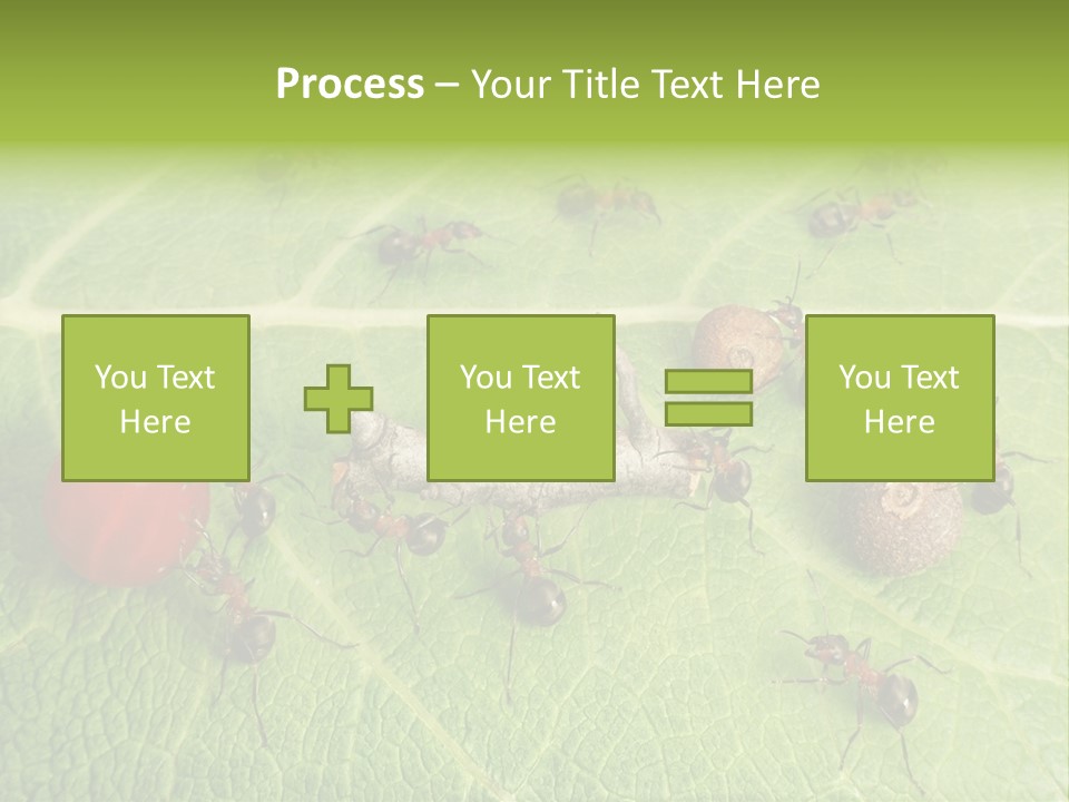 Idea Dividing Path PowerPoint Template