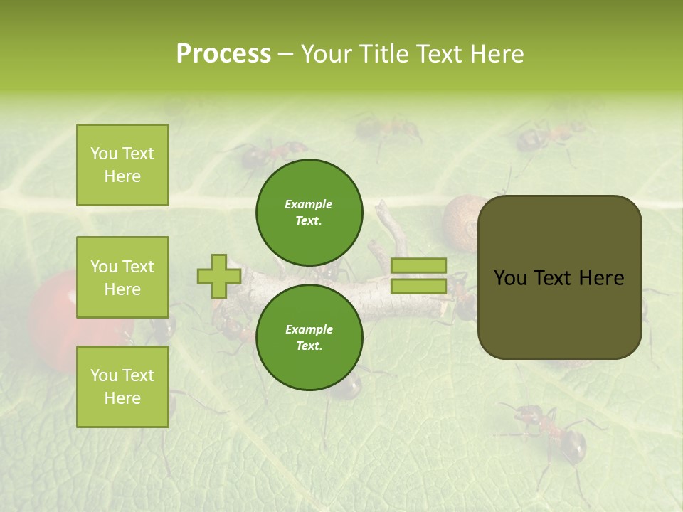 Idea Dividing Path PowerPoint Template