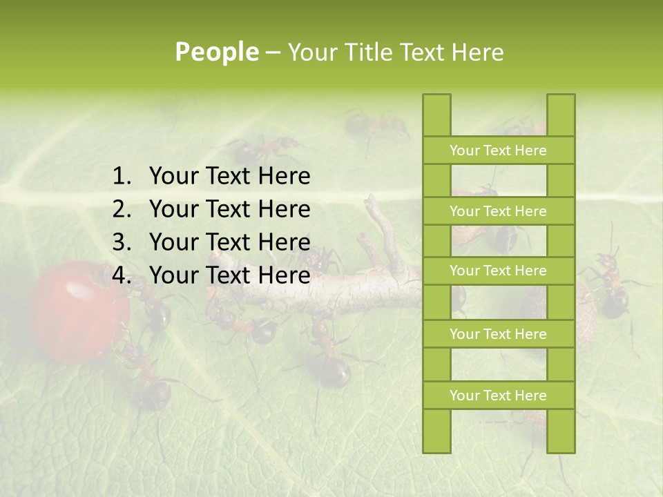 Idea Dividing Path PowerPoint Template