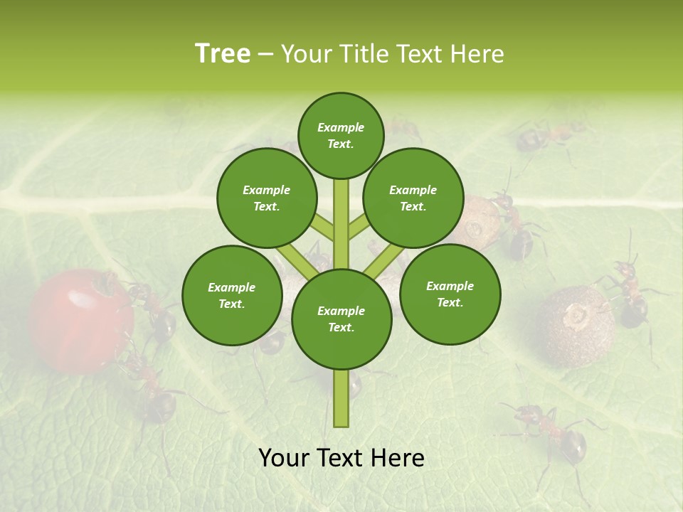 Idea Dividing Path PowerPoint Template