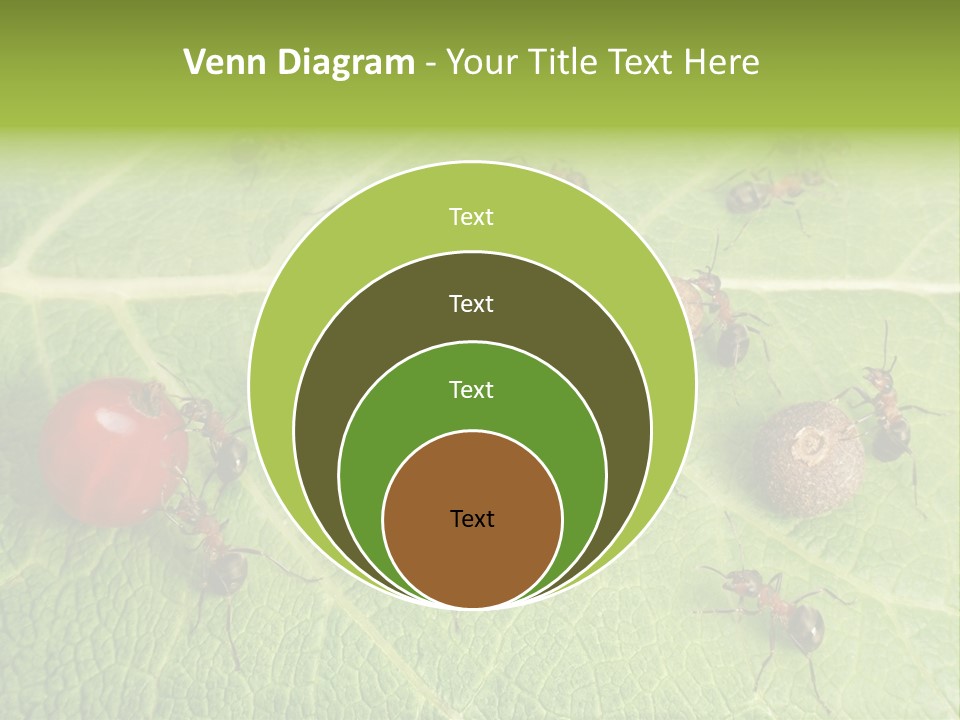 Idea Dividing Path PowerPoint Template