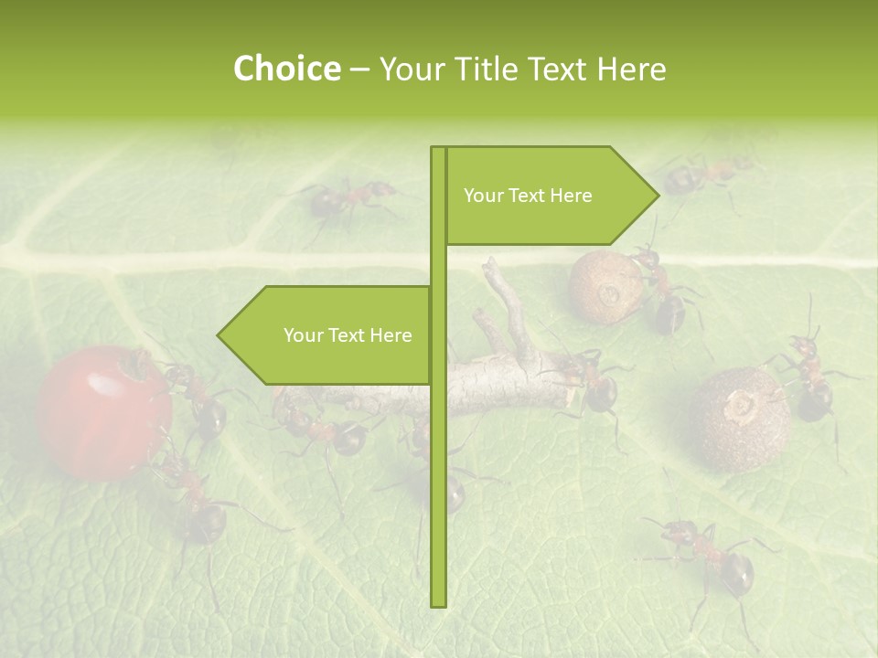 Idea Dividing Path PowerPoint Template