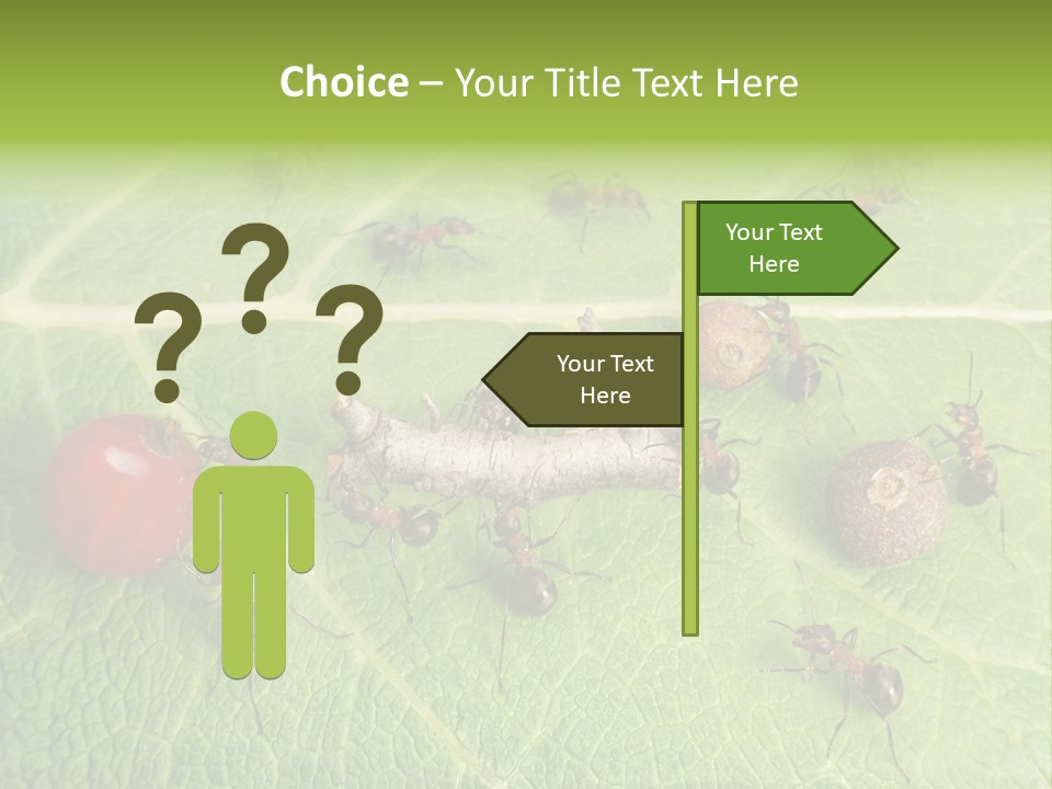 Idea Dividing Path PowerPoint Template