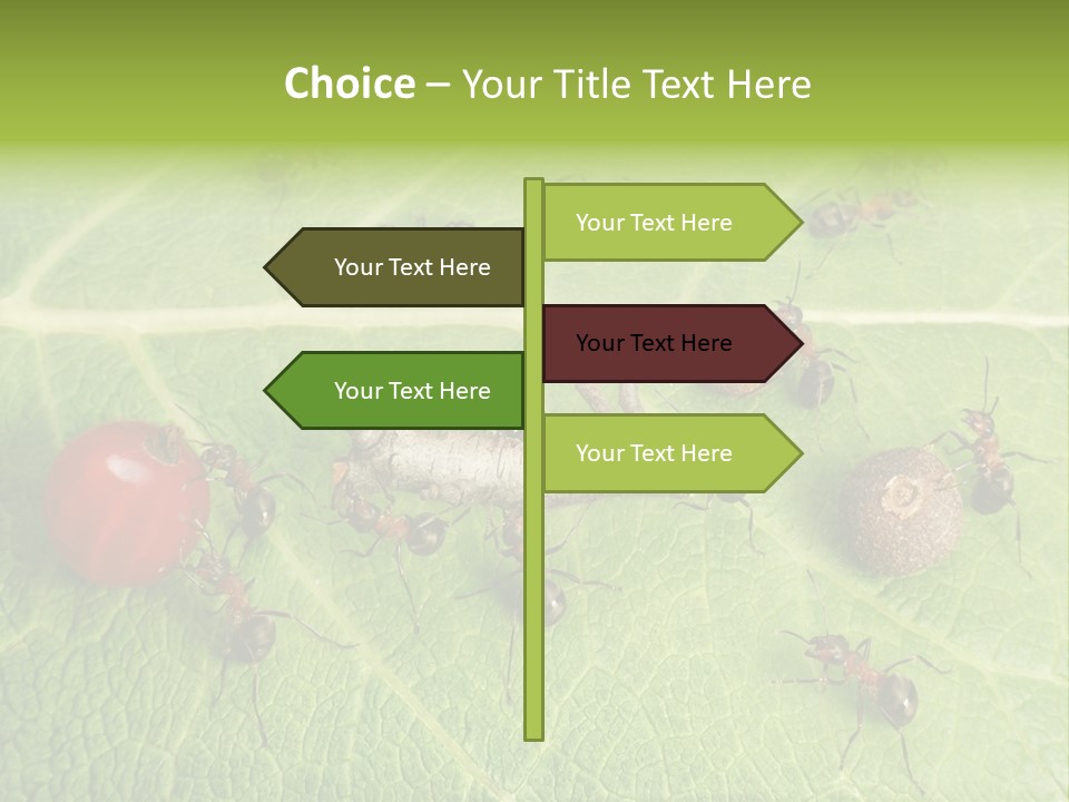 Idea Dividing Path PowerPoint Template