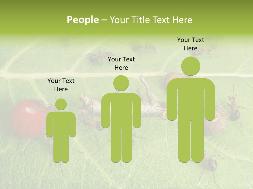 Idea Dividing Path PowerPoint Template