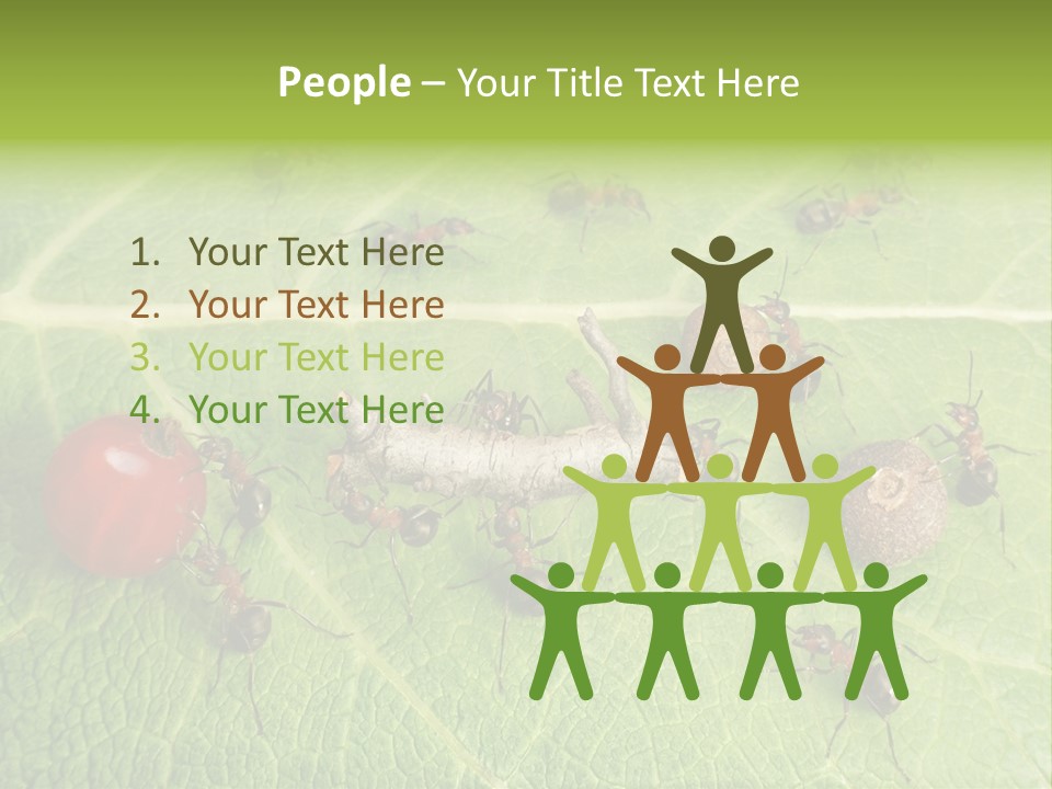 Idea Dividing Path PowerPoint Template