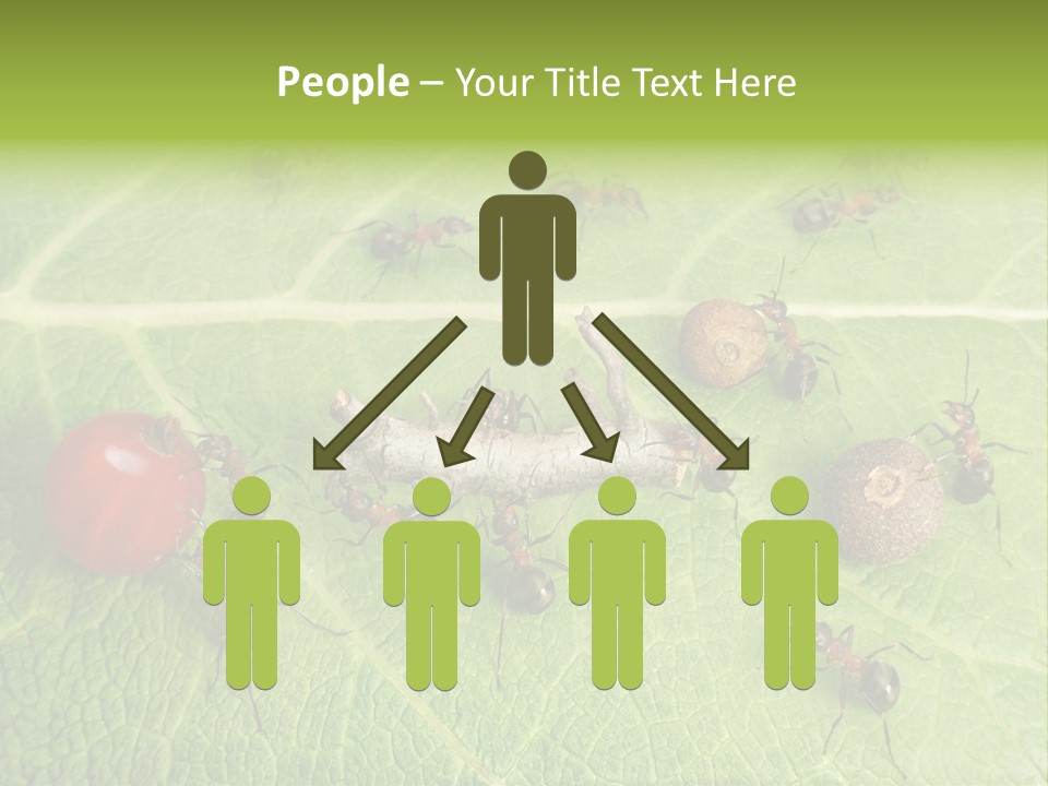 Idea Dividing Path PowerPoint Template