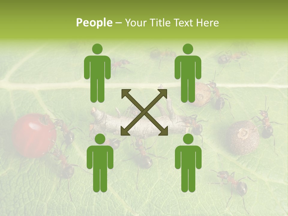 Idea Dividing Path PowerPoint Template