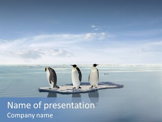 Ice Lost Damage PowerPoint Template