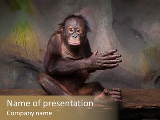 Hairy Nature Animals In The Wild PowerPoint Template